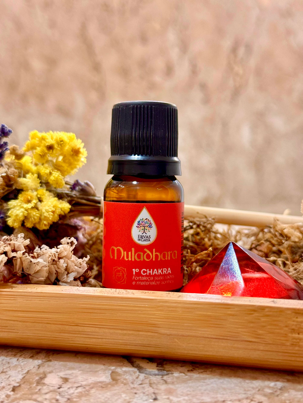 1° CHAKRA – RAIZ (MULADHARA) – ÓLEO ESSENCIAL DE CEDRO